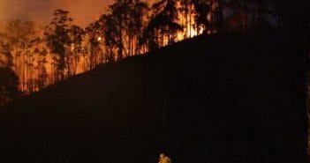 Pico do Amor está em chamas. Outras matas em Itabira também