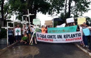 Ministério Público arquiva inquérito contra Priscila por corte de árvores na cidade