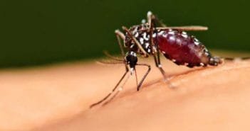Itabira vive situação de risco de surto de dengue, zica e chikungunya