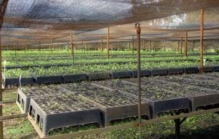 Instituto Espinhaço quer trazer para Itabira o programa Produtores de Água