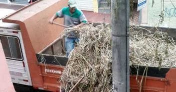Prefeitura retira mato e entulhos do sobrado histórico de João Camilo, na rua Tiradentes