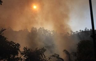 Incêndio florestal interrompe fornecimento de energia na região de Conceição do Mato Dentro