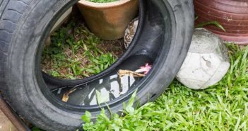 O perigo mora por toda cidade: Itabira, mais uma vez, corre risco de ter surto de dengue, zika e chikungunya