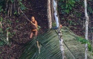 Terras indígenas emitem menos carbono que regiões sem proteção, revela estudo
