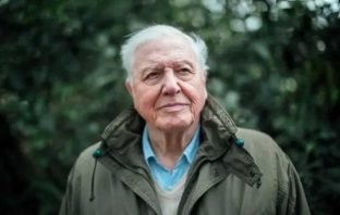 “Estamos diante da possibilidade real de uma sexta extinção em massa”, alerta o cientista David Attenborough