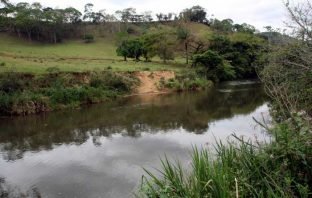 Melhoria da qualidade da água exige soluções baseadas na Natureza