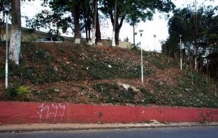 Prefeitura corta árvores e revolta moradores vizinhos