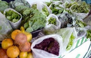 Minas Gerais tem nova lei que incentiva produção orgânica de alimentos