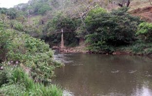 No escuro, sem conhecerem detalhes do projeto, vereadores devem aprovar nesta terça-feira a PPP do rio Tanque
