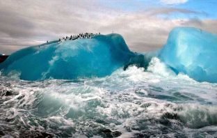 Proteger os oceanos ou a tragédia de Ulisses