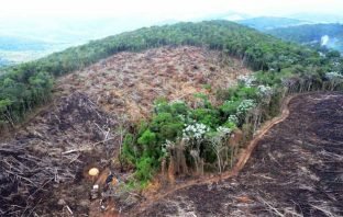 União Europeia está contra o governo brasileiro pelo descaso com o meio ambiente