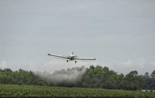 Agrotóxicos são lançados de avião sobre crianças e comunidades em disputa por terra