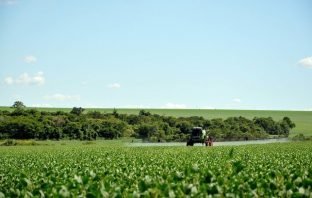 Agrotóxicos podem aumentar vulnerabilidade à Covid-19, diz relatório inédito