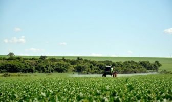 Agrotóxicos podem aumentar vulnerabilidade à Covid-19, diz relatório inédito